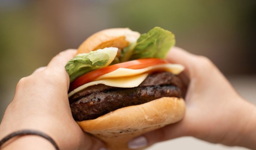 Barbeque rabbit The Rabbit Hotel