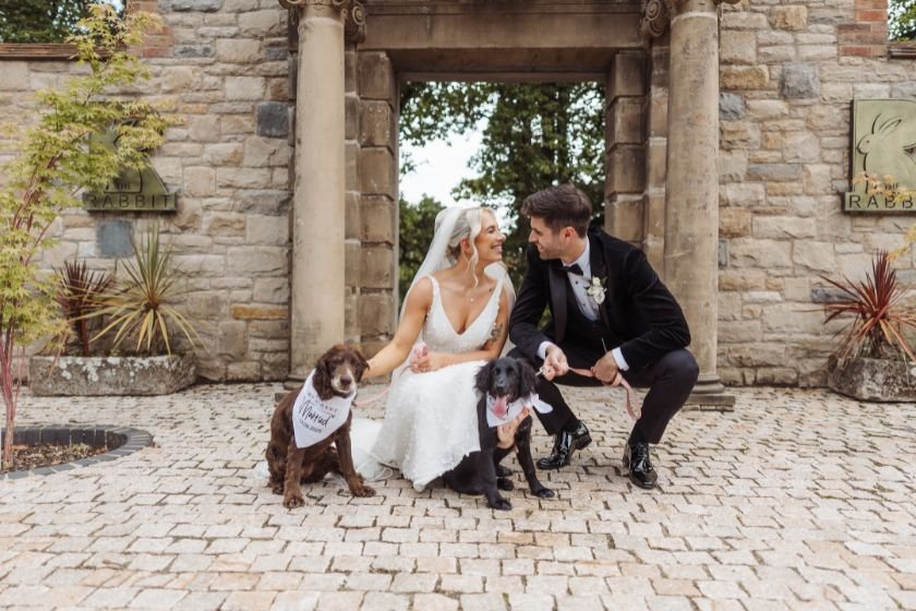 Danielle  chris The Rabbit Hotel