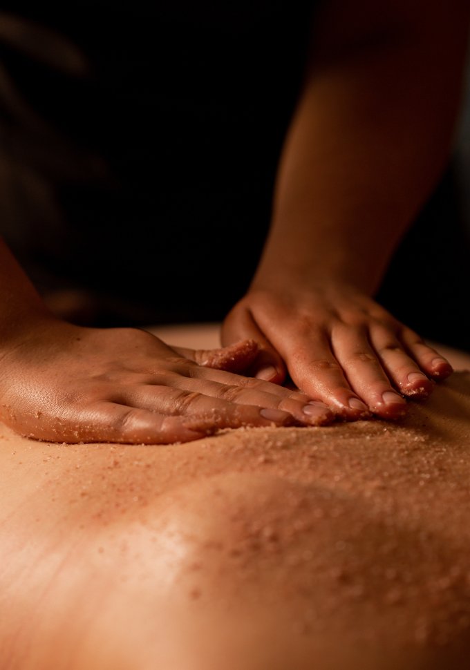 Body The Rabbit Hotel