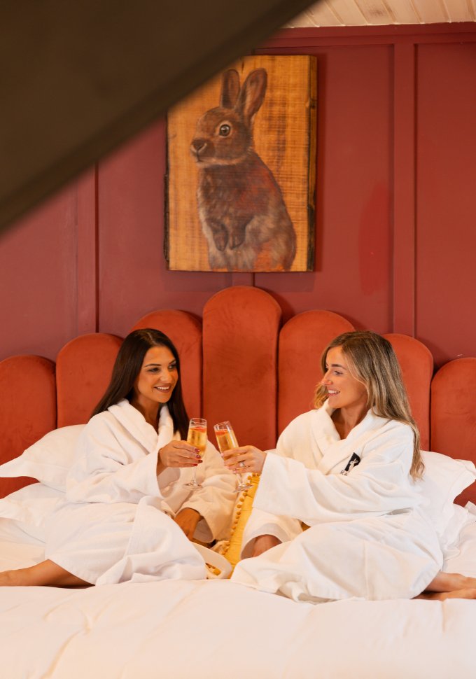 Stay The Rabbit Hotel